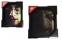 Cuadro 3D Harry Potter Voldemort