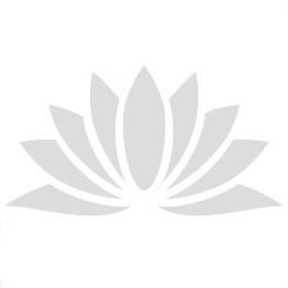 Class of heroes 3 PS5