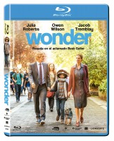 [238650-19] Wonder