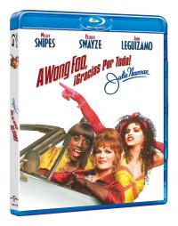[258292-19] A Wong Foo, gracias por todo, Julie Newmar - BD