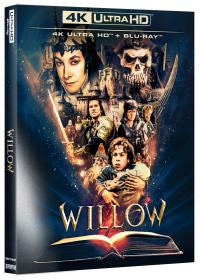 [271975-19] Willow Edición Especial Funda - BD