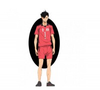 [272107] Figura Haikyu kuroo