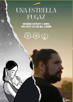 [272296-17] Una estrella fugaz - DVD